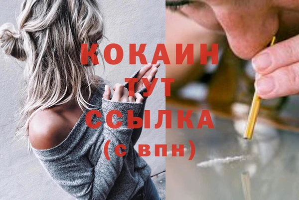 гашик Теберда