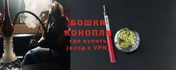 молекула духа Чердынь