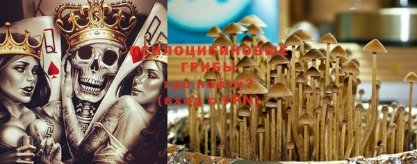 гидропоника Чегем